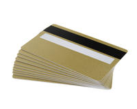 Light Gold Plastic Cards With Magnetic Stripe & Signature Strip (Pack of 100)