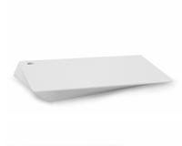 Blank White Plastic Cards with Round Hole Punch (Pack of 100)